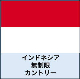 インドネシア:無制限カントリープラン eSIM (3日間~30日間) | 最短即日発行・出張向け|✅PCでのWeb会議✅動画視聴